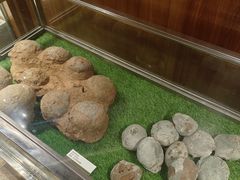 -珠海市博物馆