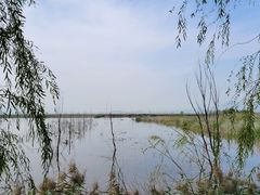 -野鸭湖国家湿地公园