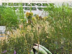 -翠贝卡&Mama Kelly Brunch Coffee(河西店)