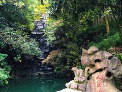 -十八棵（老龙井）御茶园(老龙井店)