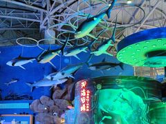 -烟台海昌鲸鲨海洋公园