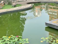 -叶家花园