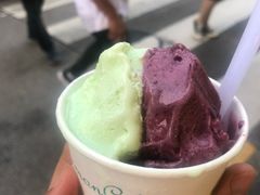 -柠檬车露(卖草地店)
