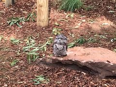 -费瑟代尔野生动物园