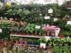 -无锡文化工艺品市场(槐古路店)
