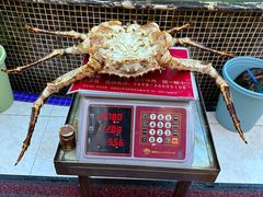 -欢乐海岸美食联盟