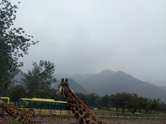 -西安秦岭野生动物园