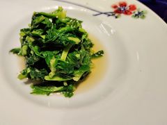 清炒豌豆尖儿-晟永興烤鸭店(五道口店)