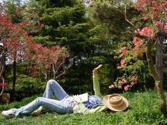 -郑州中国绿化博览园