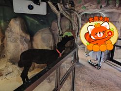 -酷嗒动物文化乐园(cutezoo西溪乐天城店)