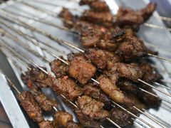 肥瘦-清真·马峰烤肉(小学习北巷店)