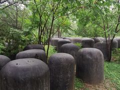 -绿堤公园