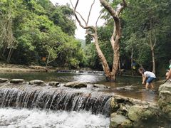 -广州逸林假日酒店·四季桃源中餐厅(白云山风景区店)