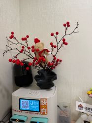 -初心はつ こころ日式美甲美睫沙龙