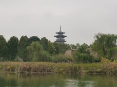-洋湖国家湿地公园