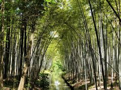 -同里国家湿地公园