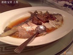 鲥鱼-上海小南国(国发店)
