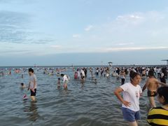 -碧海金沙