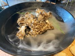 有机舞菇-煲宫猪肚鸡(晶品店)