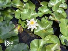 -白马涧龙池景区