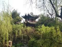 -水绘园