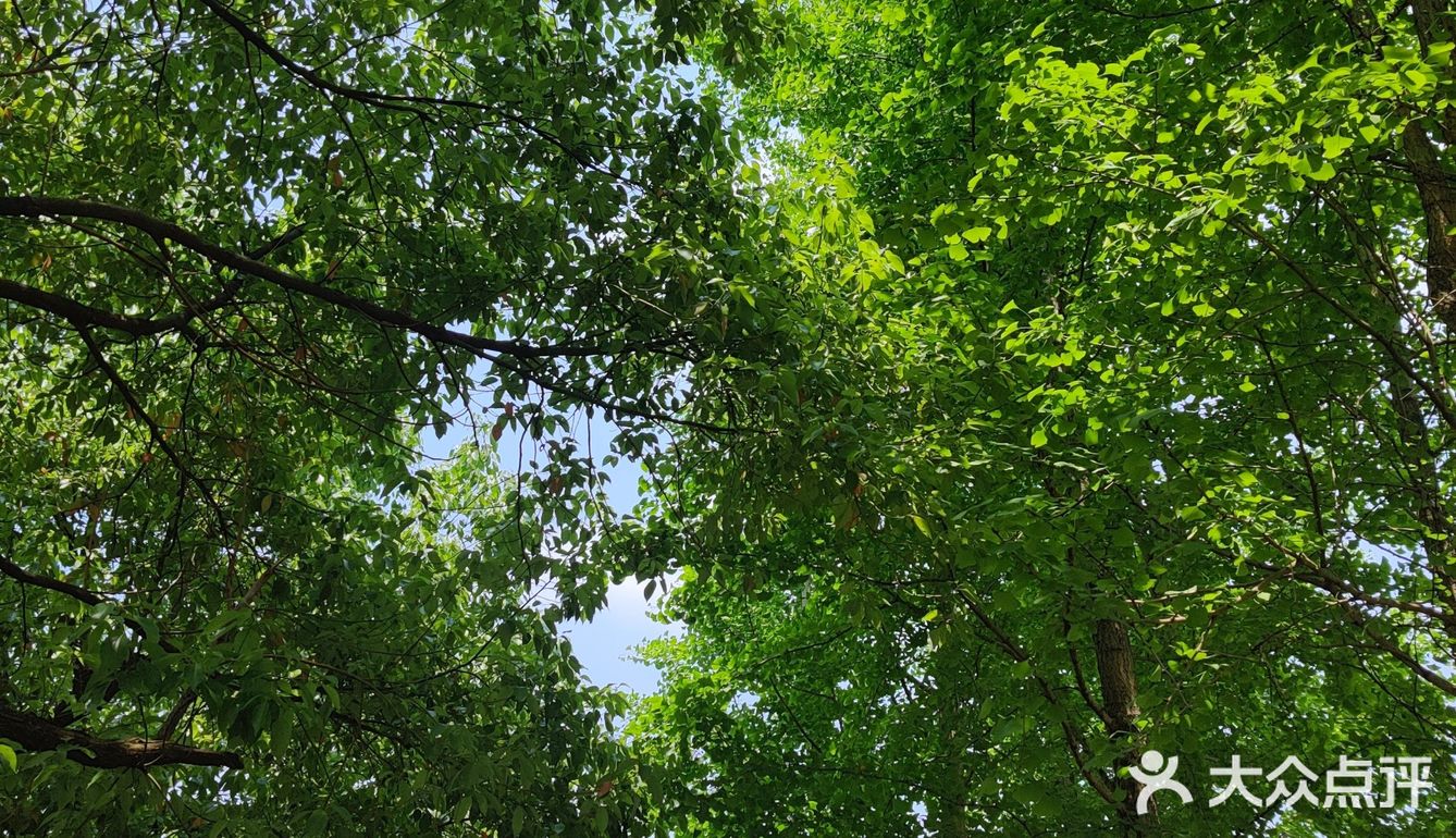 龙门古镇