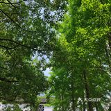 龙门古镇