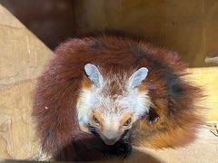 -石林冰雪海洋世界