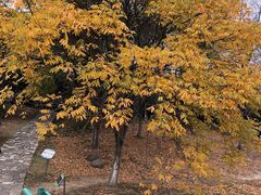 -白塘生态植物园