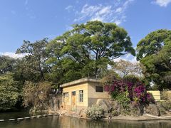 -昆明动物园