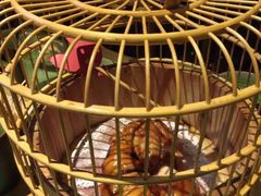 -胡桃里乐队酒馆(鎏嘉码头店)