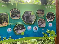 -野象谷景区