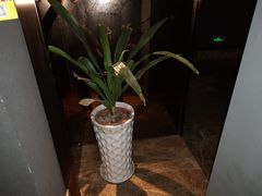 -大观园足浴(城东店)