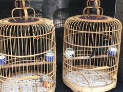 -到家尝北京菜(西坝河店)