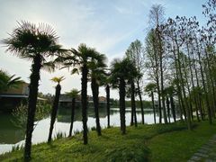 -上海怡沁园度假酒店