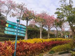 -深圳东部华侨城茵特拉根酒店
