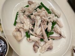 白灼火箭筒鱿鱼&nbsp;-沙龙酒家