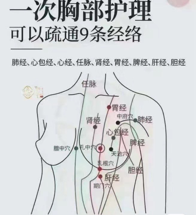 乳房周围的经络图图片