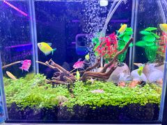 -大学城夜市大排档(凤栖路店)