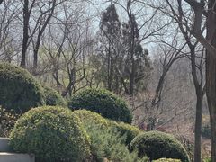 -大连植物园