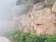 -棒棰岛宾馆景区