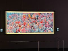 -罗红摄影艺术馆