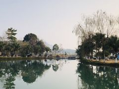 -乳源丽宫国际温泉酒店