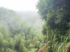 -将军关探险漂流