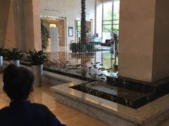 -常州环球恐龙城维景国际大酒店