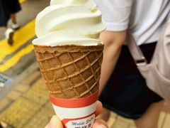 -富豪雪糕车流动点(尖沙咀店)