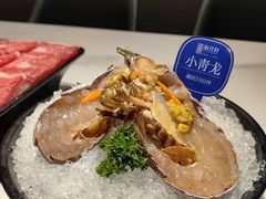小青龙-海月轩海鲜豆捞(紫金塔店)
