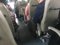 -上海长途客运南站