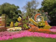 -上海共青森林公园