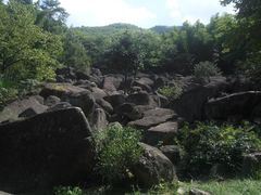 -山沟沟景区